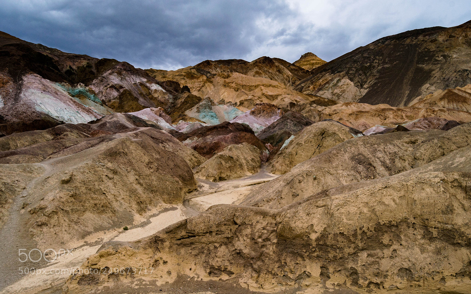Nikon D3200 sample photo. Artist palette photography