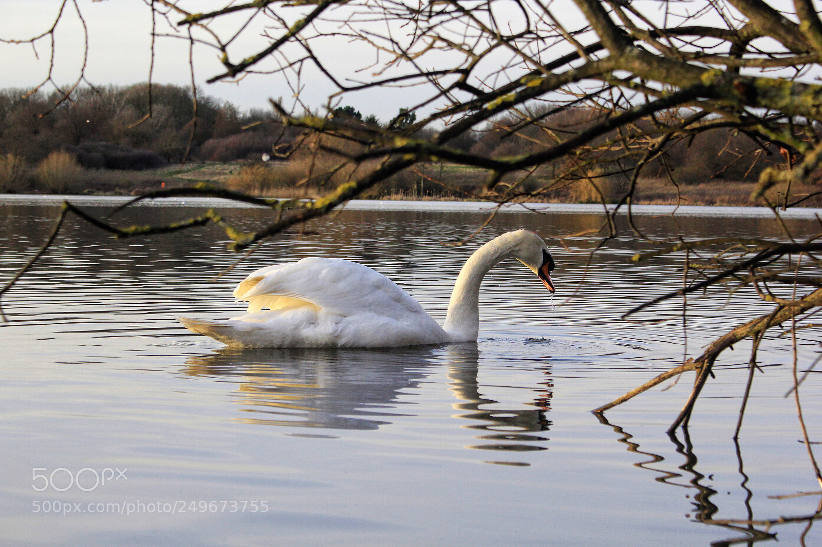 Canon EOS 60D sample photo. Nature is great and photography