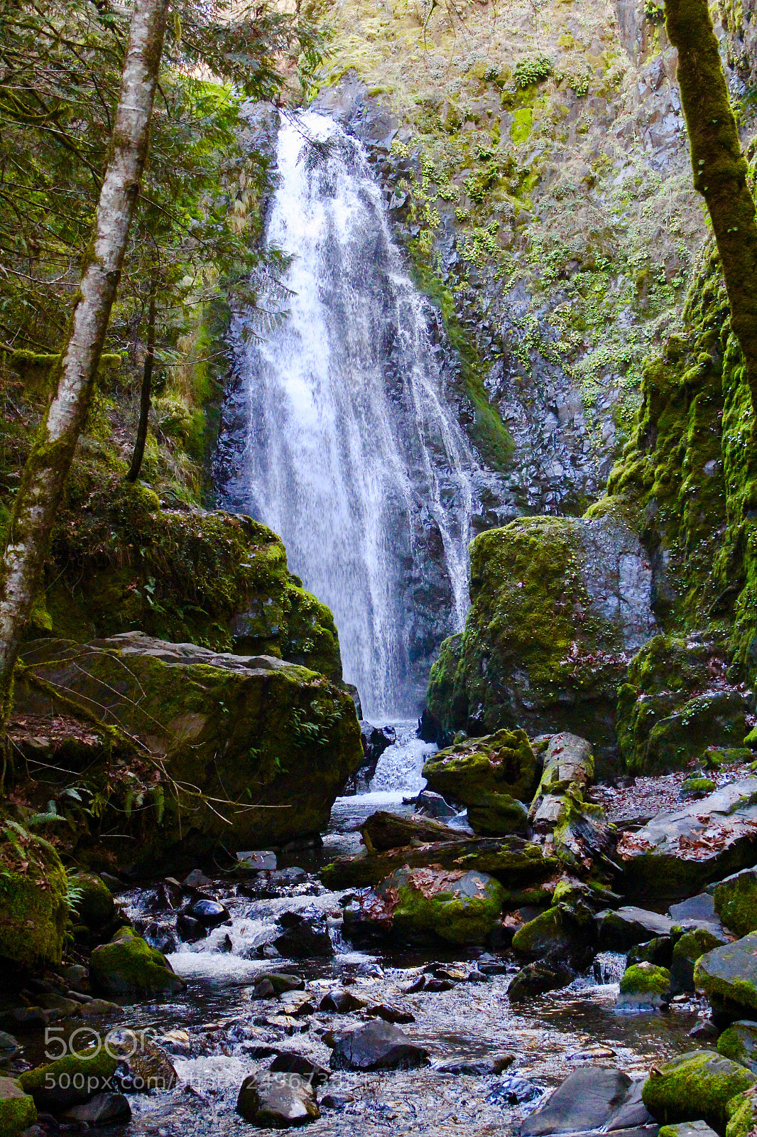 Canon EOS 1200D (EOS Rebel T5 / EOS Kiss X70 / EOS Hi) sample photo. Susan creek falls photography