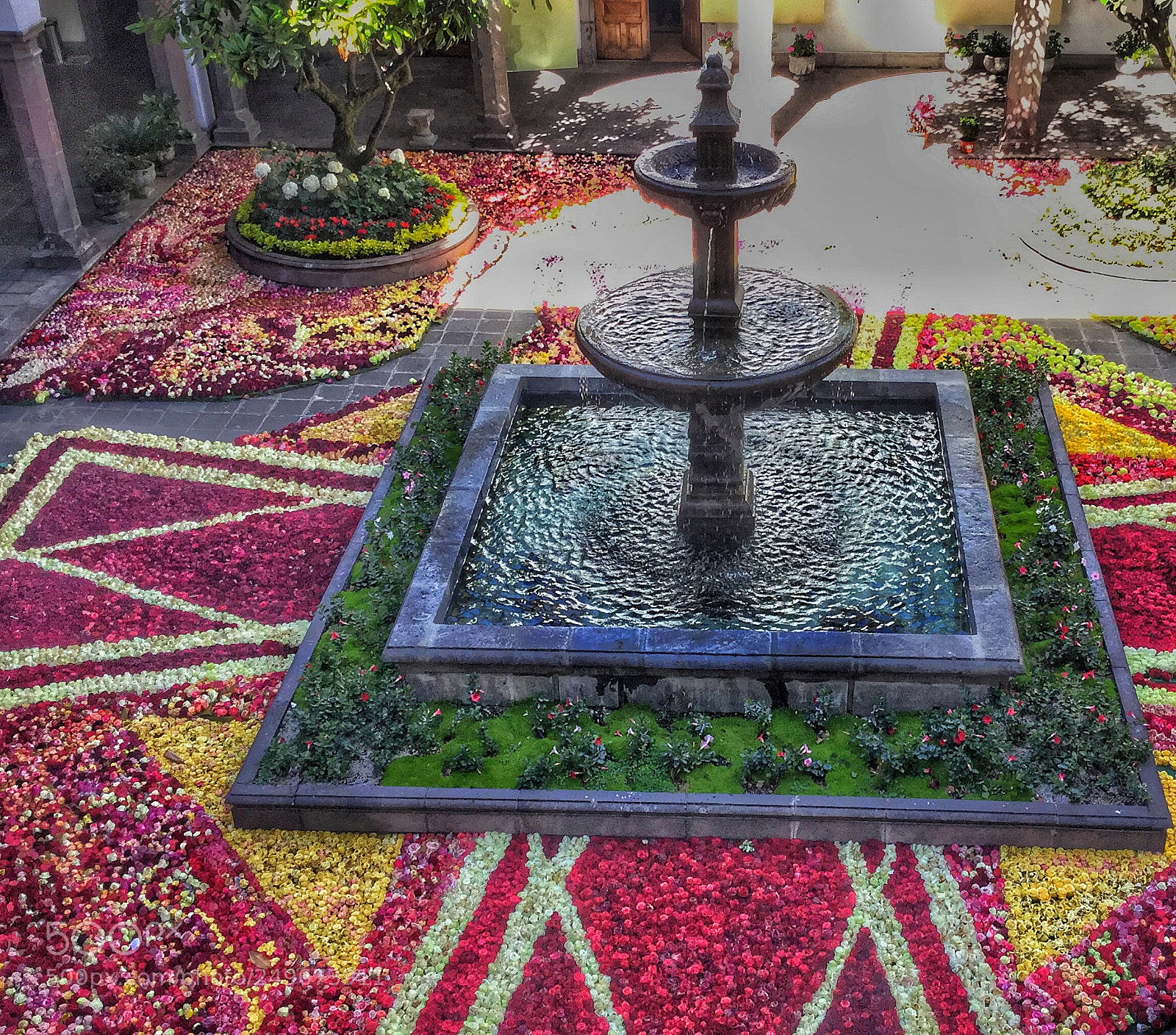 Apple iPad Air 2 sample photo. #roses #ecuador carordelet photography