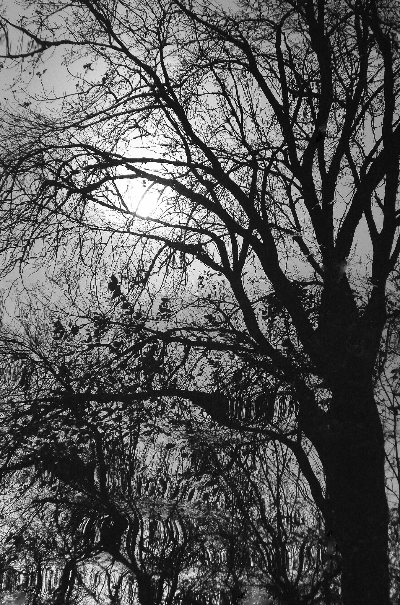 Leica C (Typ 112) sample photo. Reflection photography