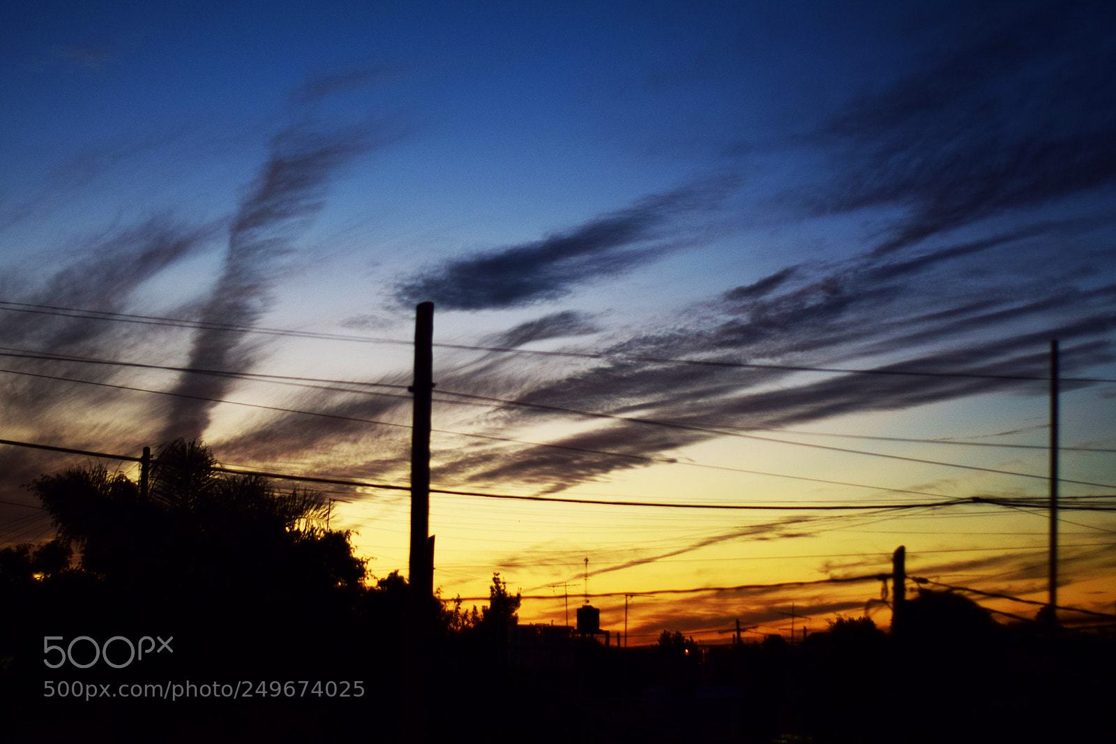 Nikon D5300 sample photo. Blue and gold photography