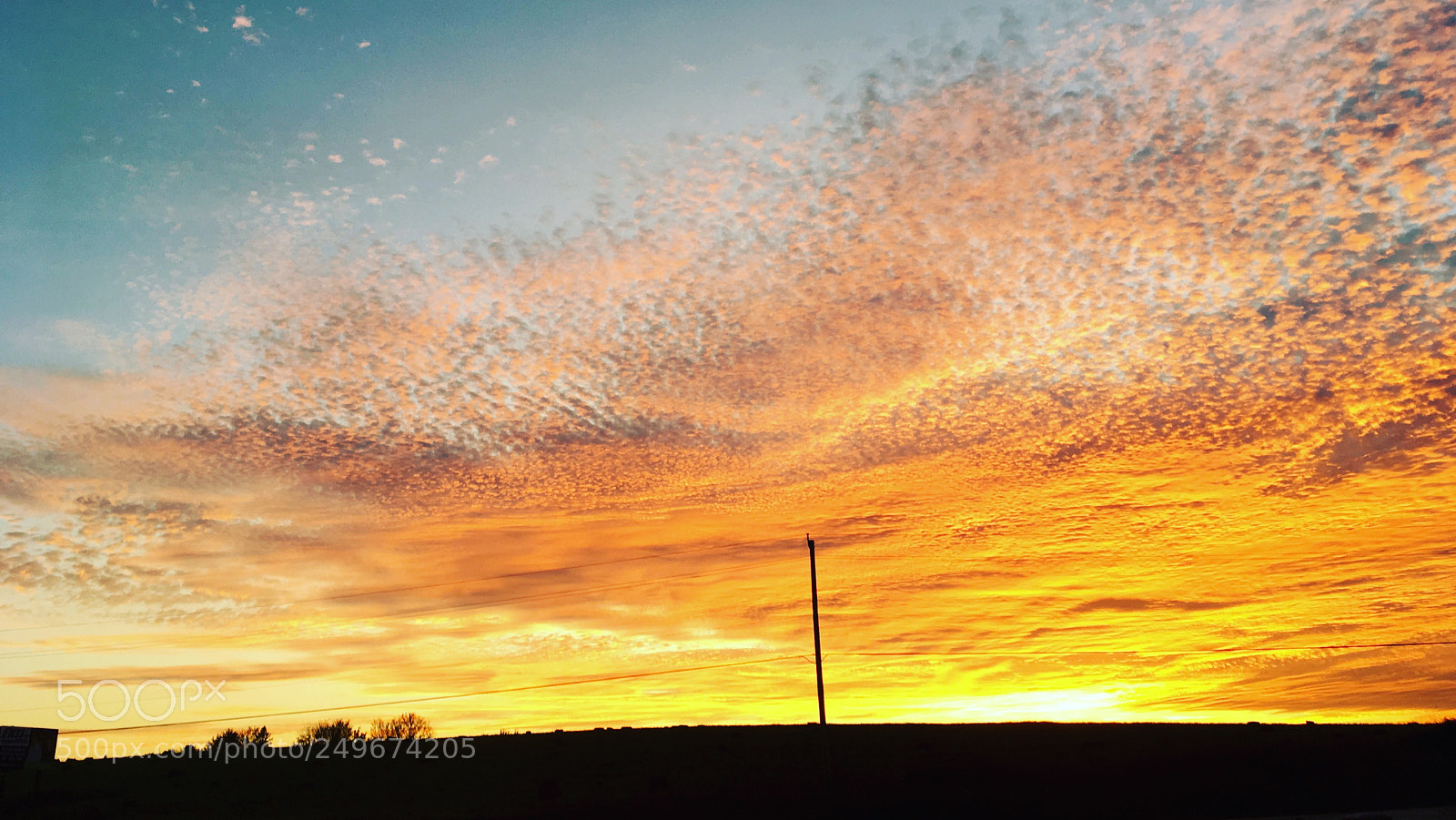 Apple iPhone SE sample photo. Field sunset photography
