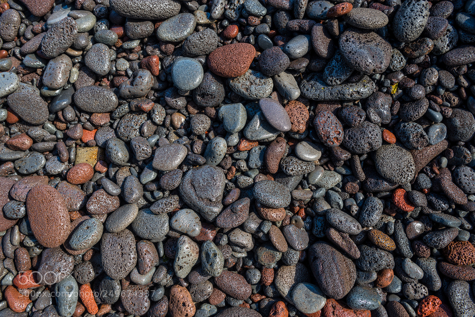 Nikon D800 sample photo. Wet rocks on the photography