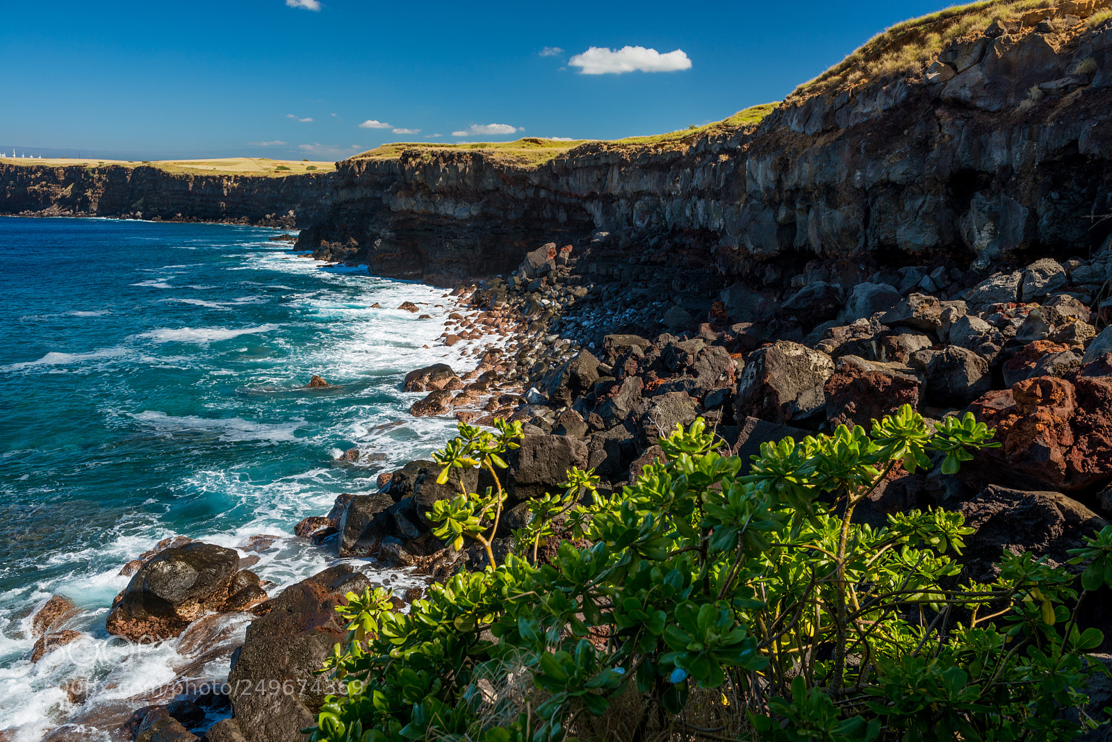 Nikon D800 sample photo. Rocky vista near naalehu photography