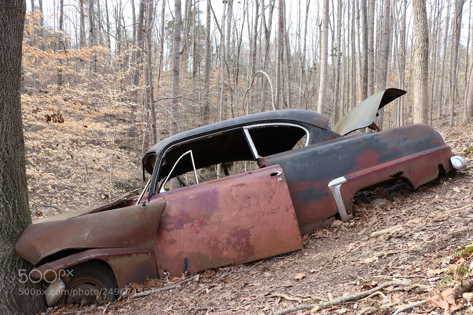 Canon EOS 80D sample photo. Wrecked car in the photography