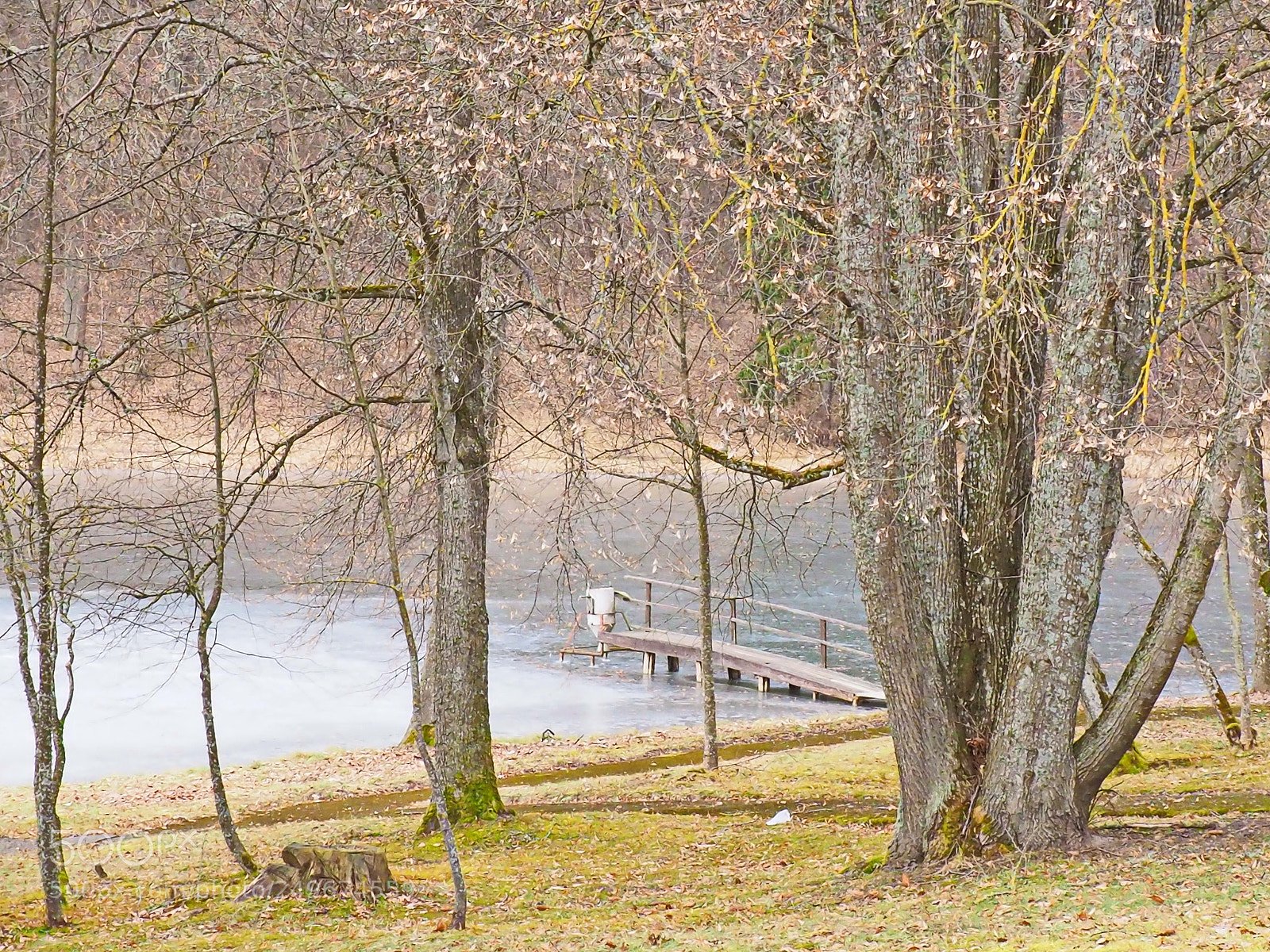 Olympus OM-D E-M10 II sample photo. Spring photography