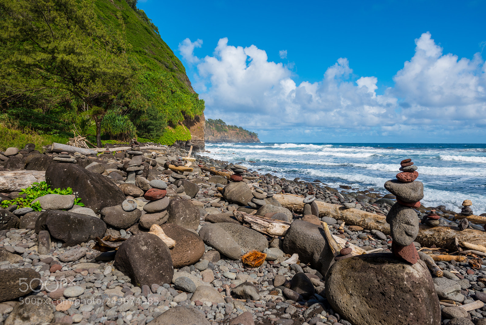 Nikon D800 sample photo. Rocky shores of kapaau photography