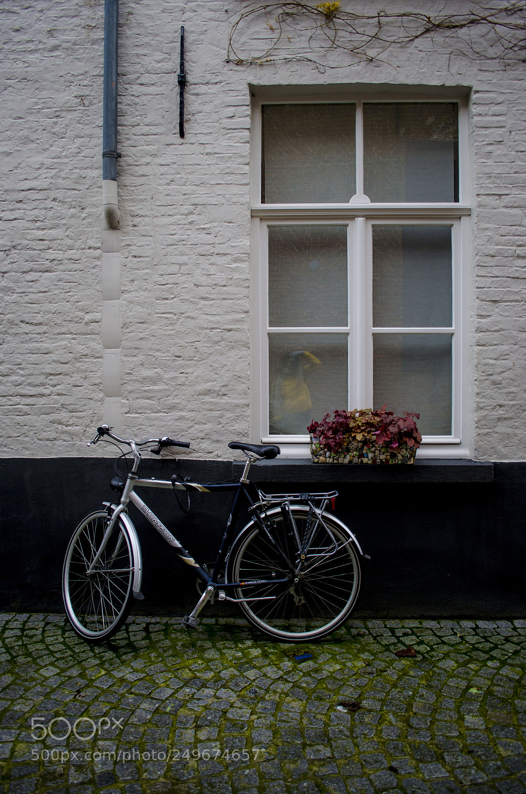 Nikon D5100 sample photo. Bike and flowers photography