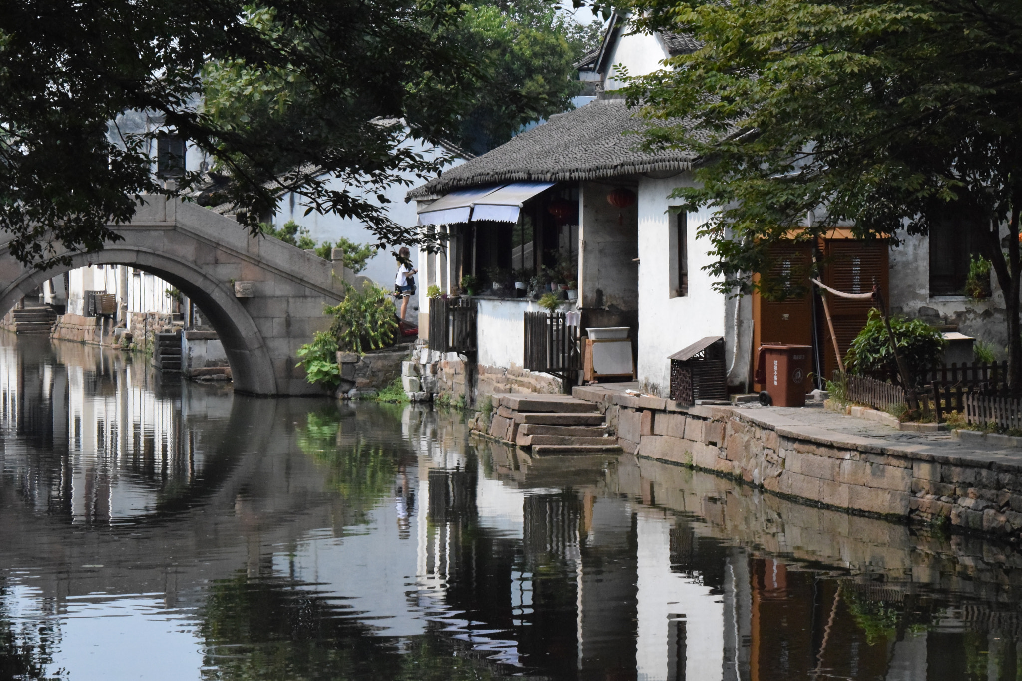 Nikon D5300 sample photo