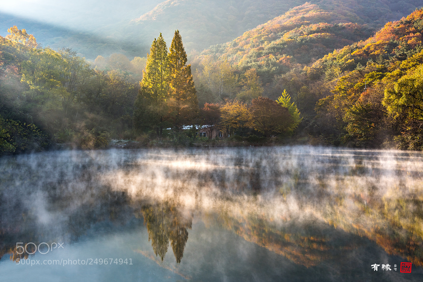 Nikon D810 sample photo. . photography