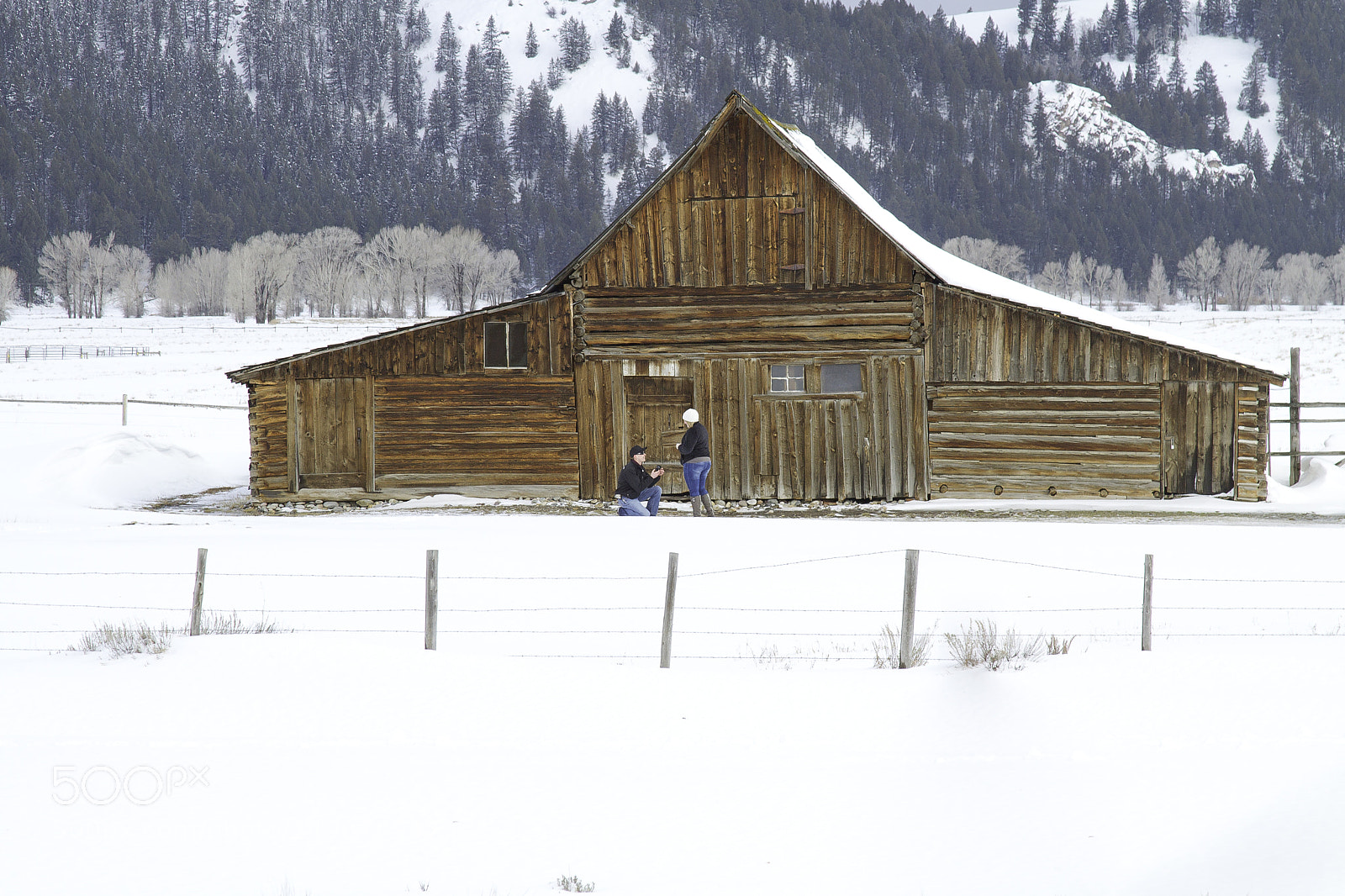 Canon EOS 7D sample photo. The question photography