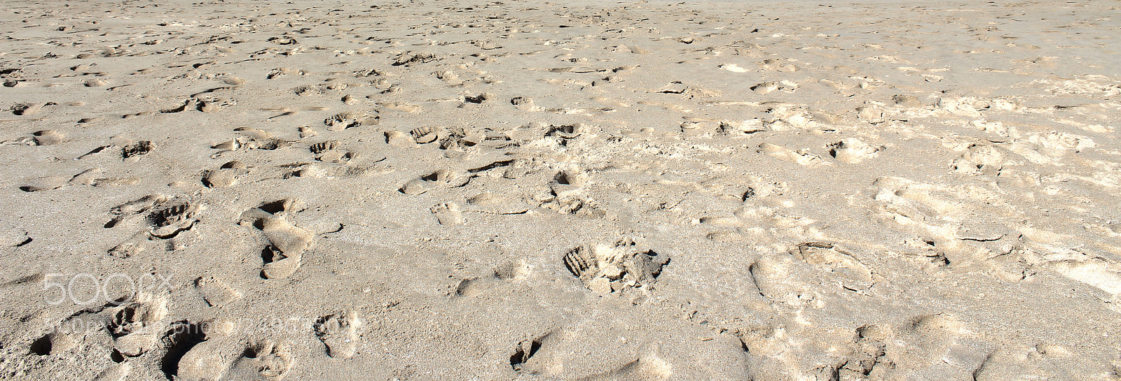Canon EOS 1300D (EOS Rebel T6 / EOS Kiss X80) sample photo. Footprints photography