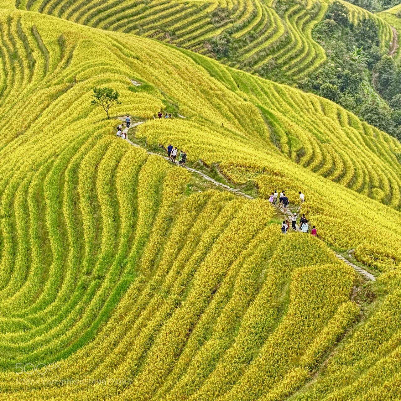 Pentax K-3 sample photo. China - 047 - guilin photography