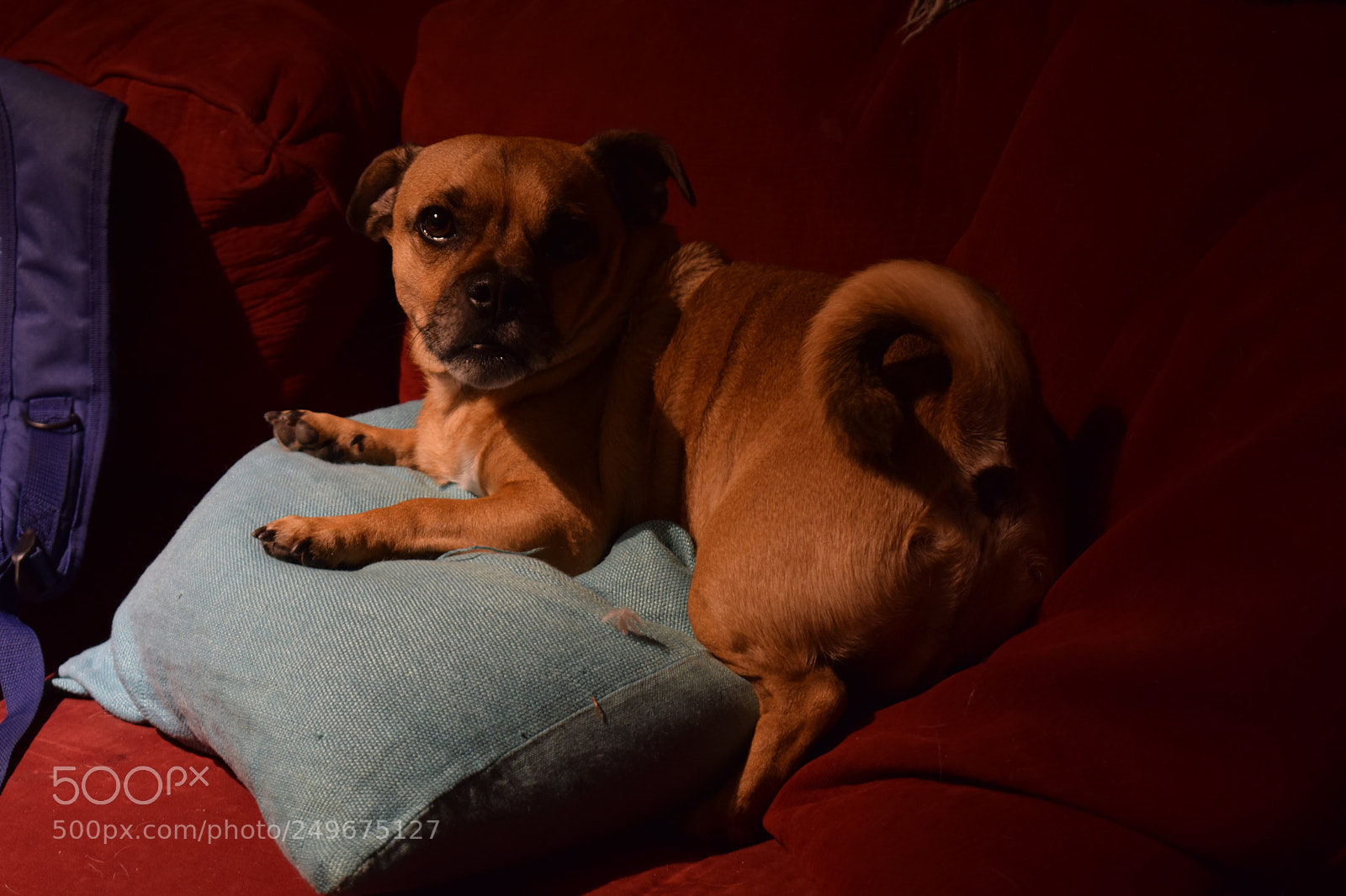 Nikon D5300 sample photo. Untitled photography