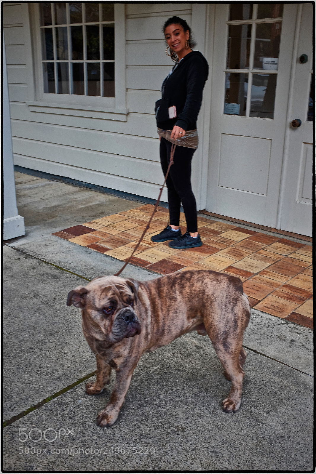 Fujifilm X100T sample photo. Dogs and their people photography