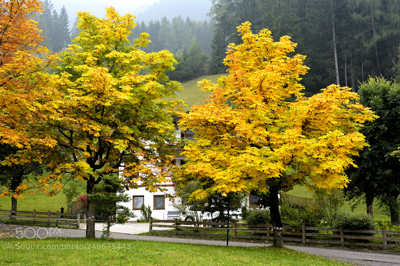 Nikon D5200 sample photo. Automne en montagne photography