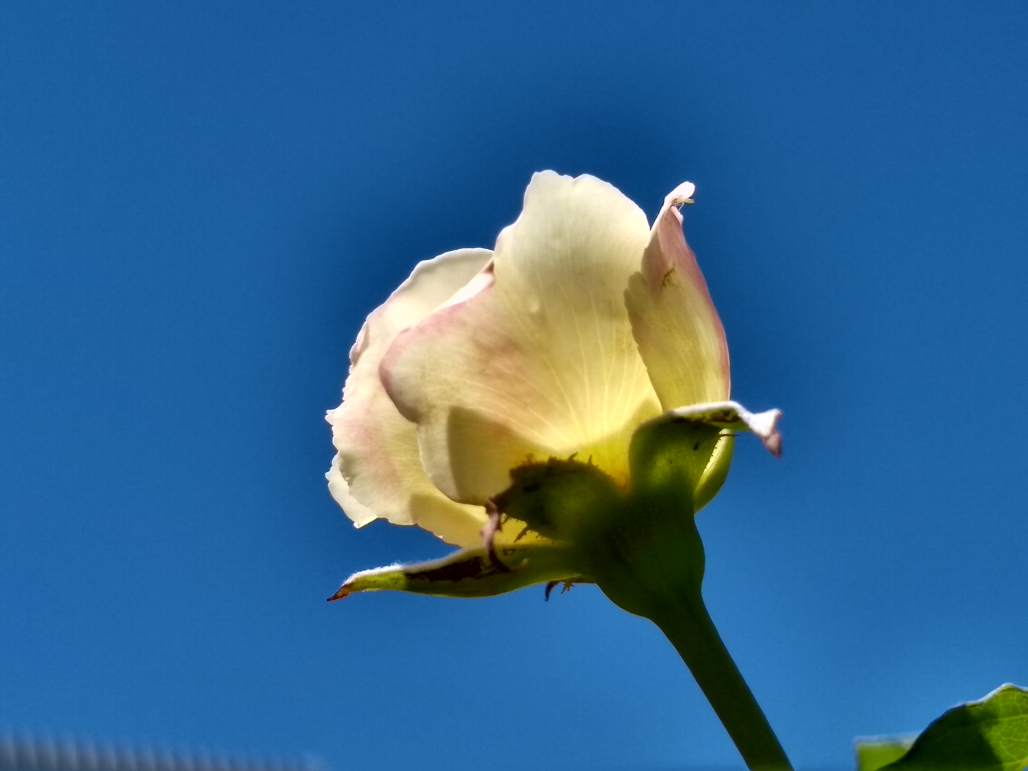 Motorola Moto G (5S) sample photo