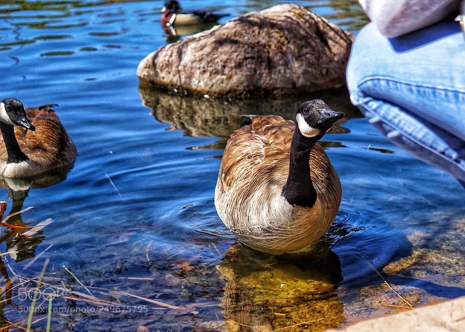 Sony a6000 sample photo. Untitled photography