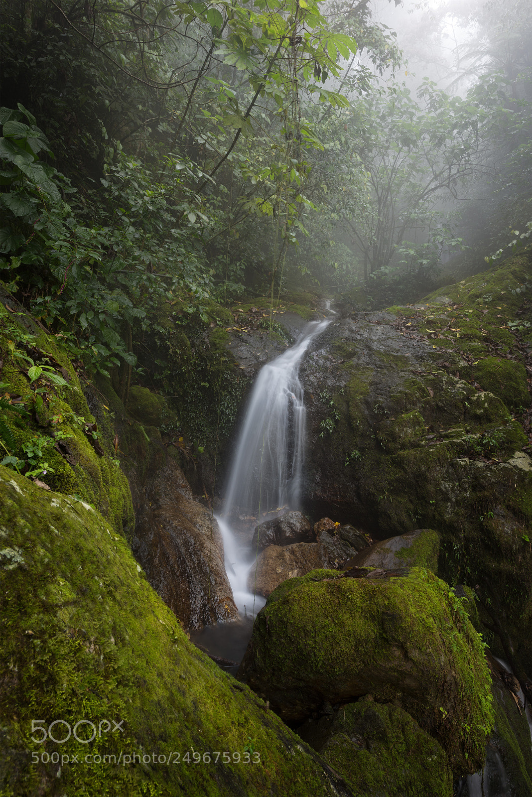 Nikon D810 sample photo. Cascada tlatlaquitepec, puebla photography
