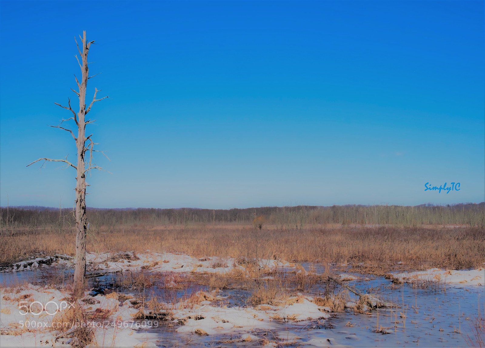 Fujifilm X-T1 sample photo. Winter's last stand photography