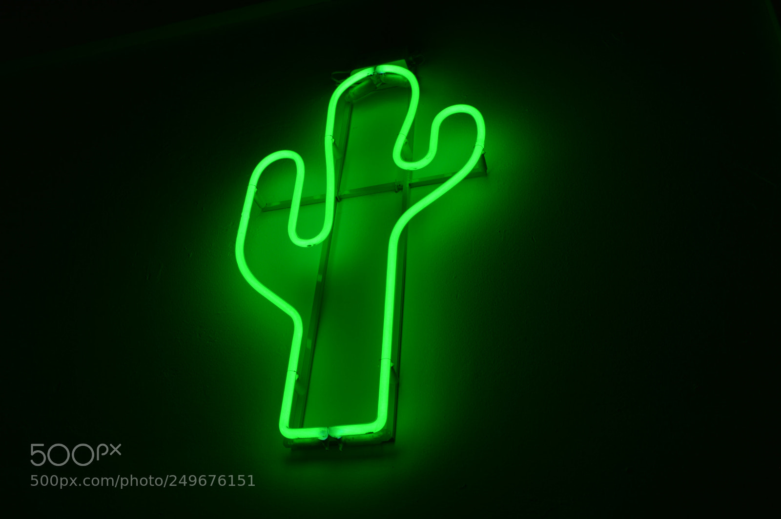 Nikon D3200 sample photo. Cactus photography