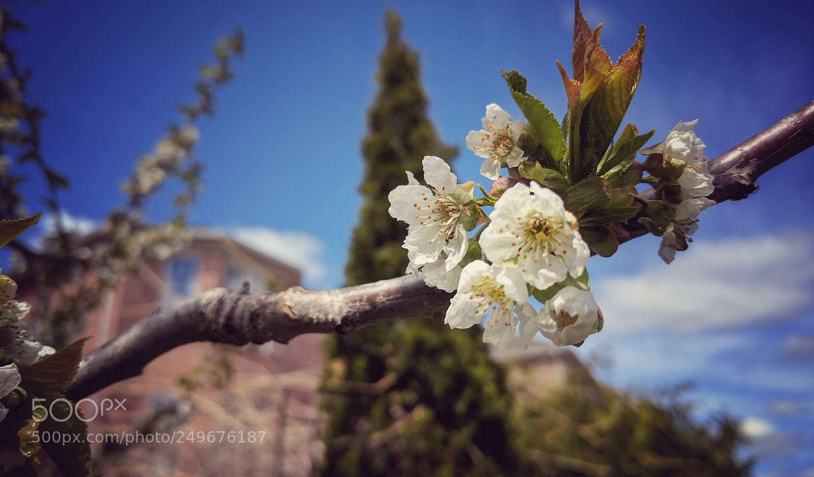 Google Pixel sample photo. Untitled photography