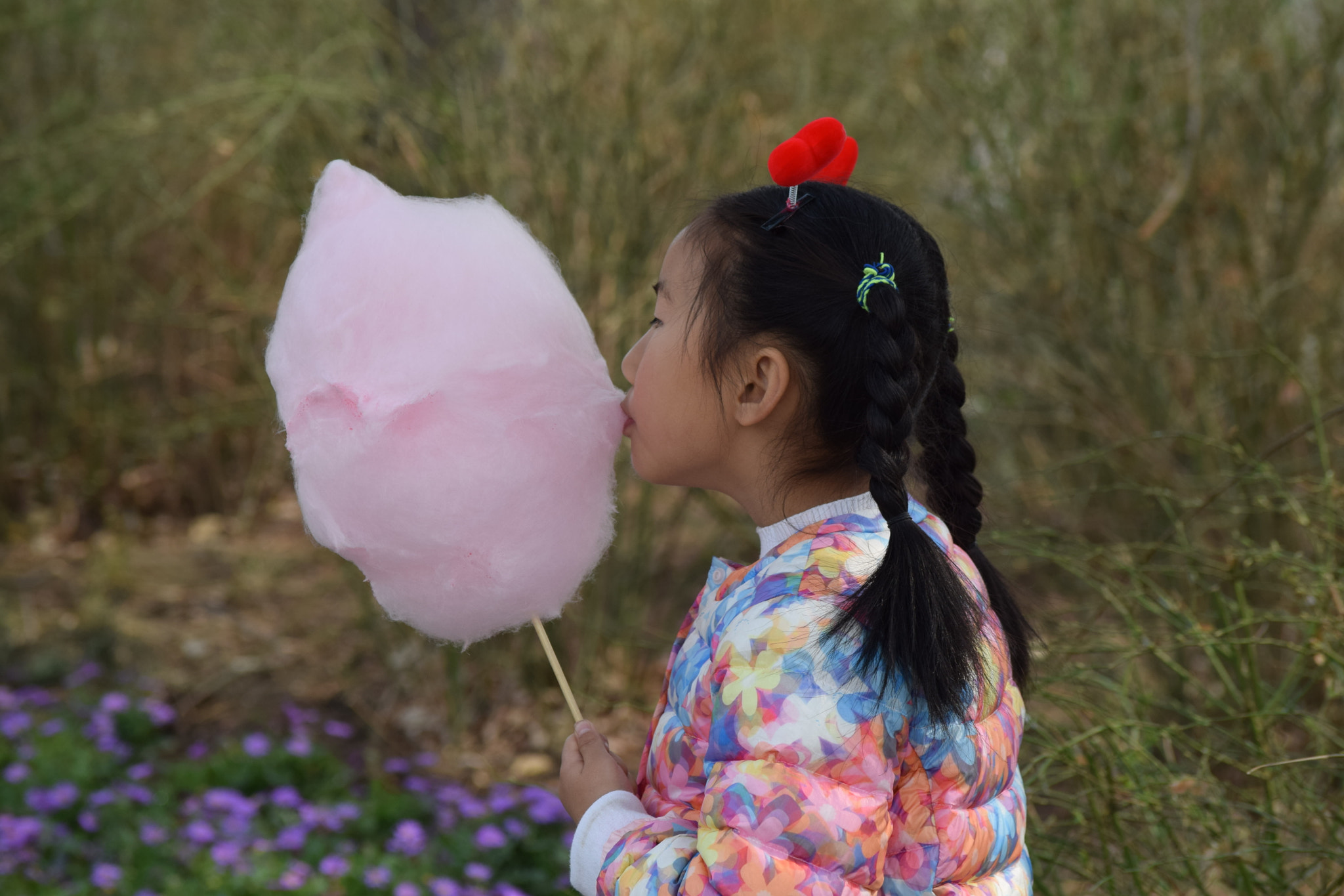 Nikon D5300 sample photo