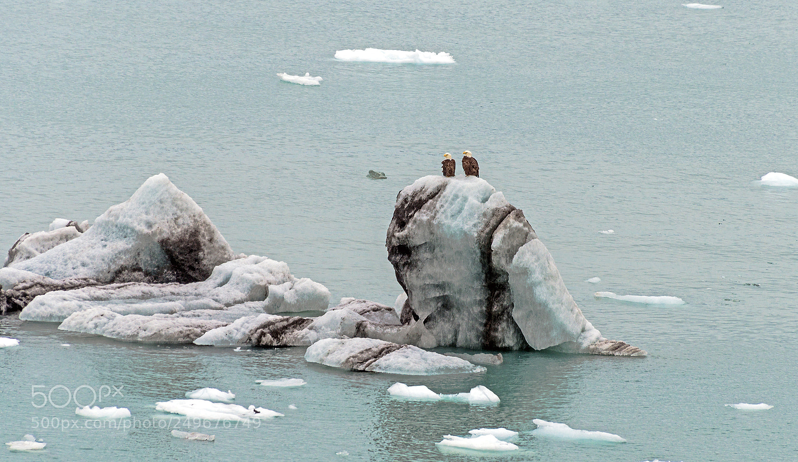 Nikon D610 sample photo. Iceberg stopover photography