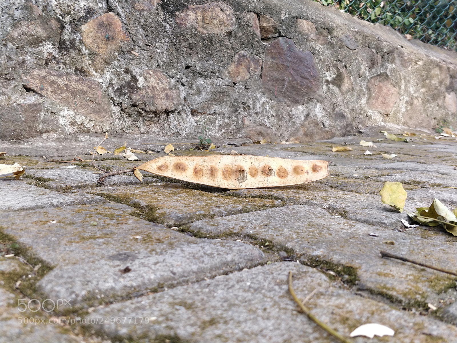 OnePlus 5 sample photo. Untitled photography