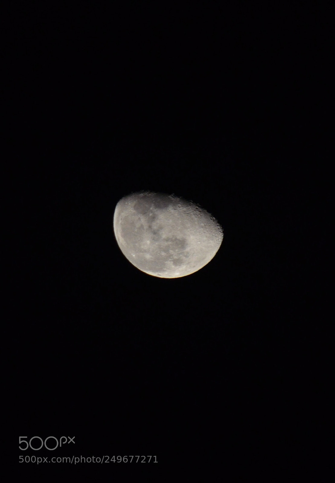 Nikon D5100 sample photo. ? photography