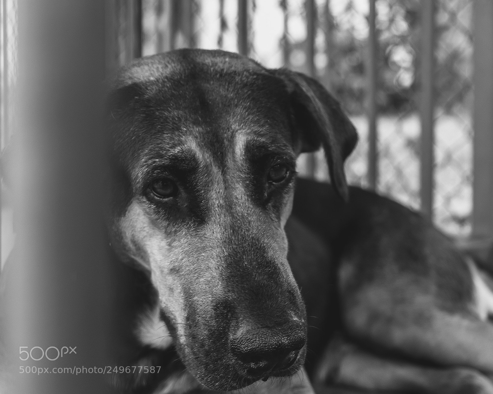 Fujifilm X-T2 sample photo. Untitled photography