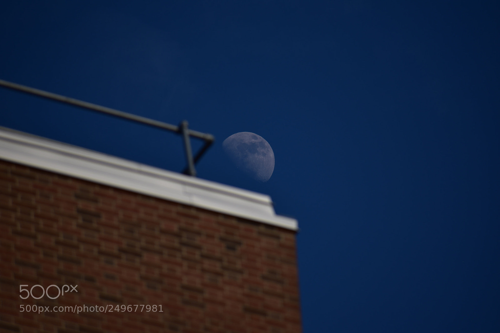 Nikon D5600 sample photo. Moonshine photography