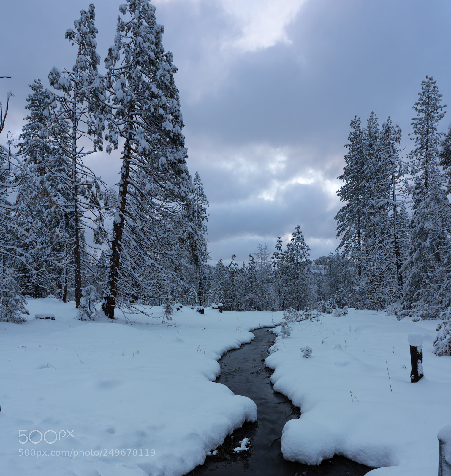Pentax K-3 II sample photo. By hetch hetchy photography
