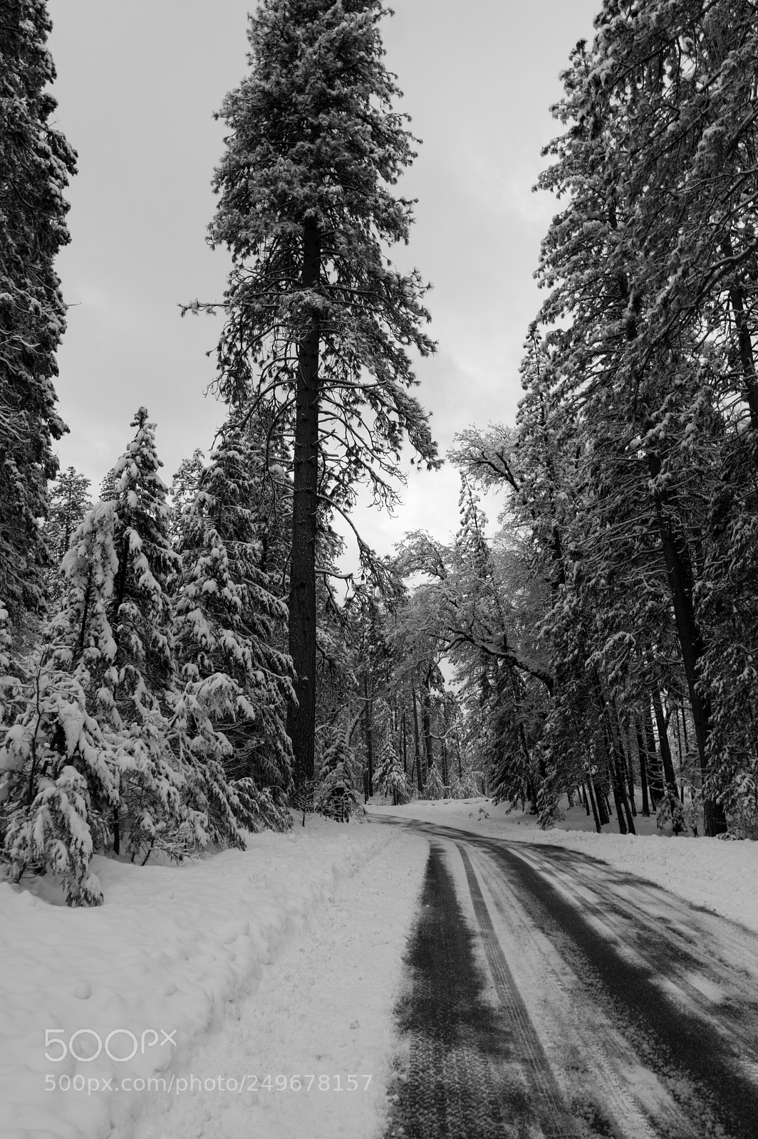 Pentax K-3 II sample photo. By hetch hetchy photography
