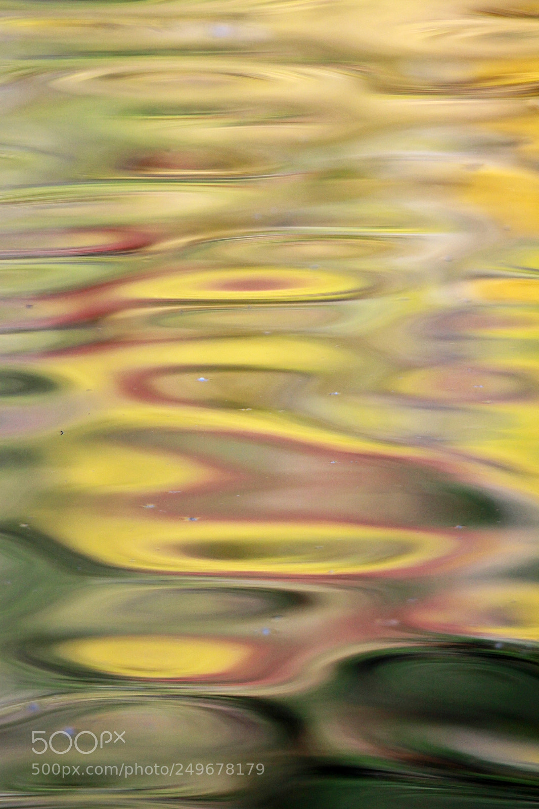 Canon EOS 50D sample photo. Minamo20111019_141831 photography