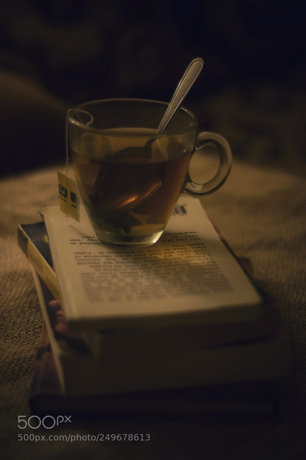 Nikon D3300 sample photo. Untitled photography