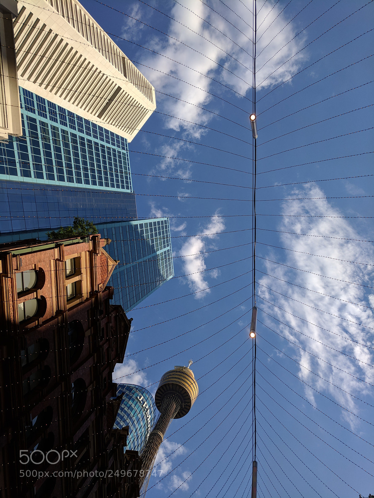 Google Pixel sample photo. Lookingup photography