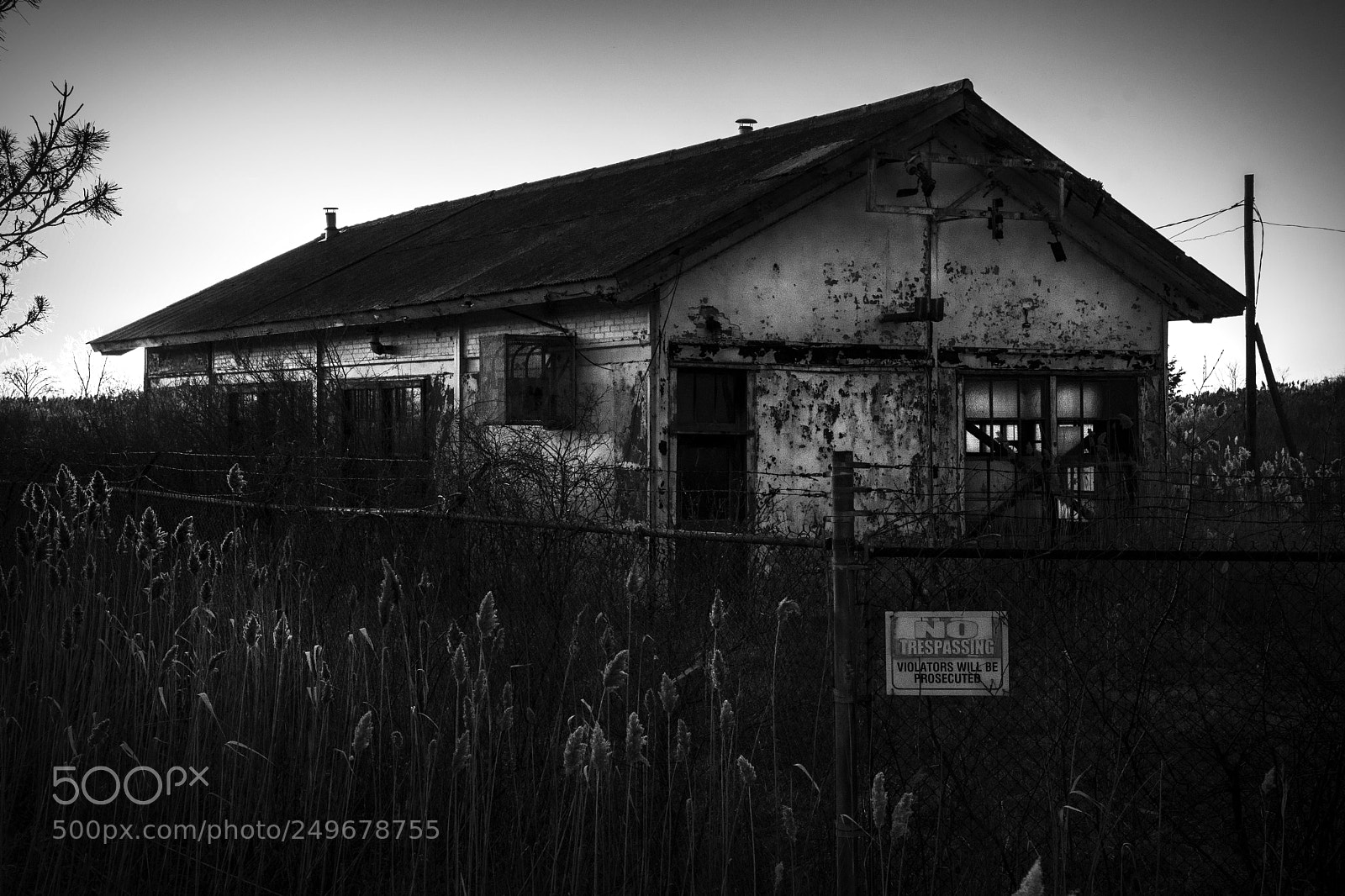 Nikon D500 sample photo. No trespassing. amherstburg, on. photography