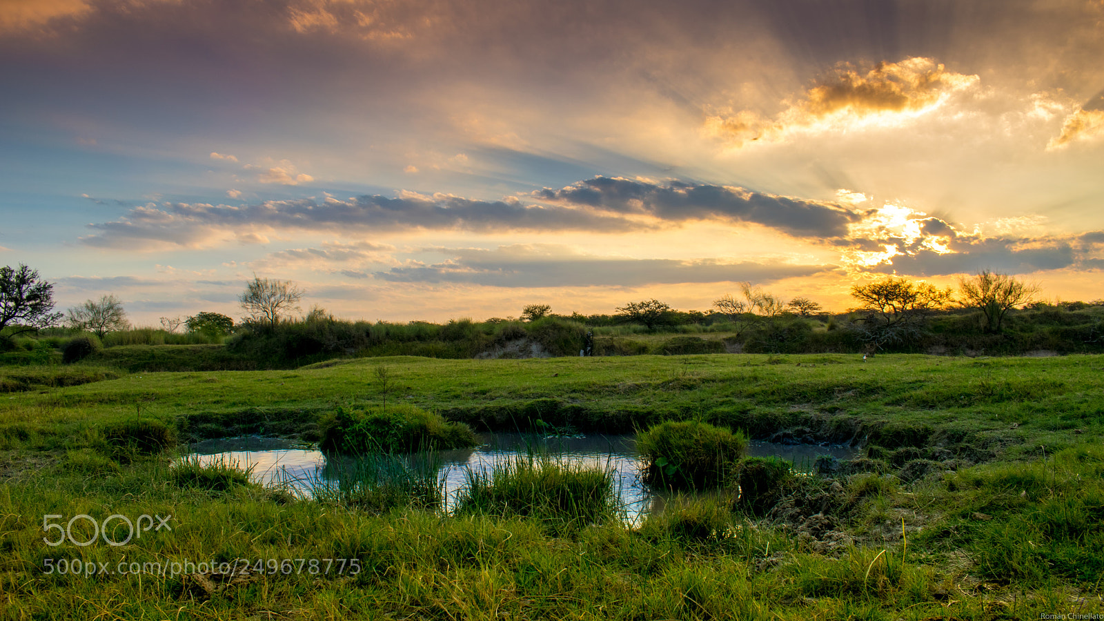 Nikon D5300 sample photo. Countryside near home photography