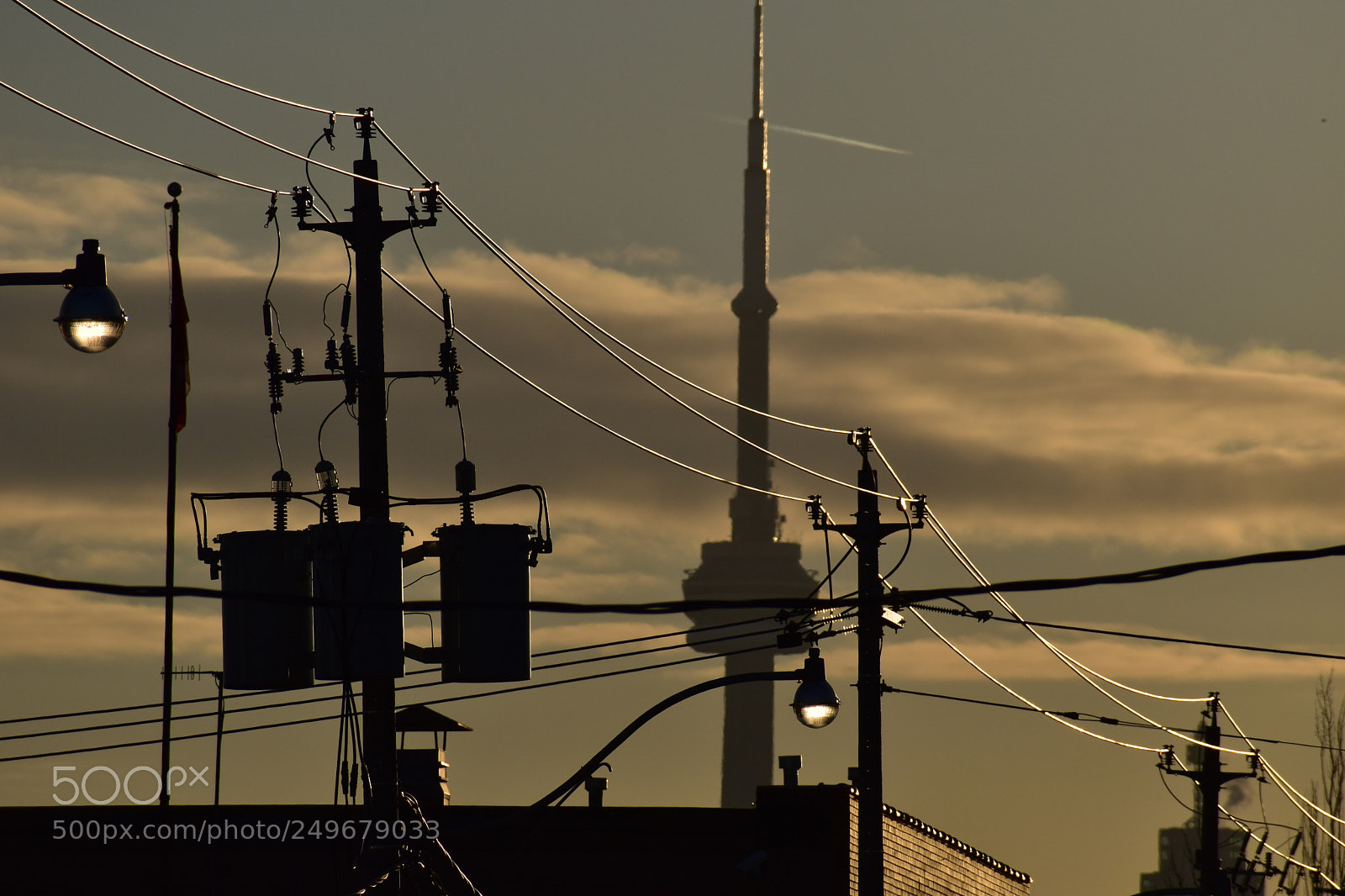 Nikon D5600 sample photo. White-gold wires photography