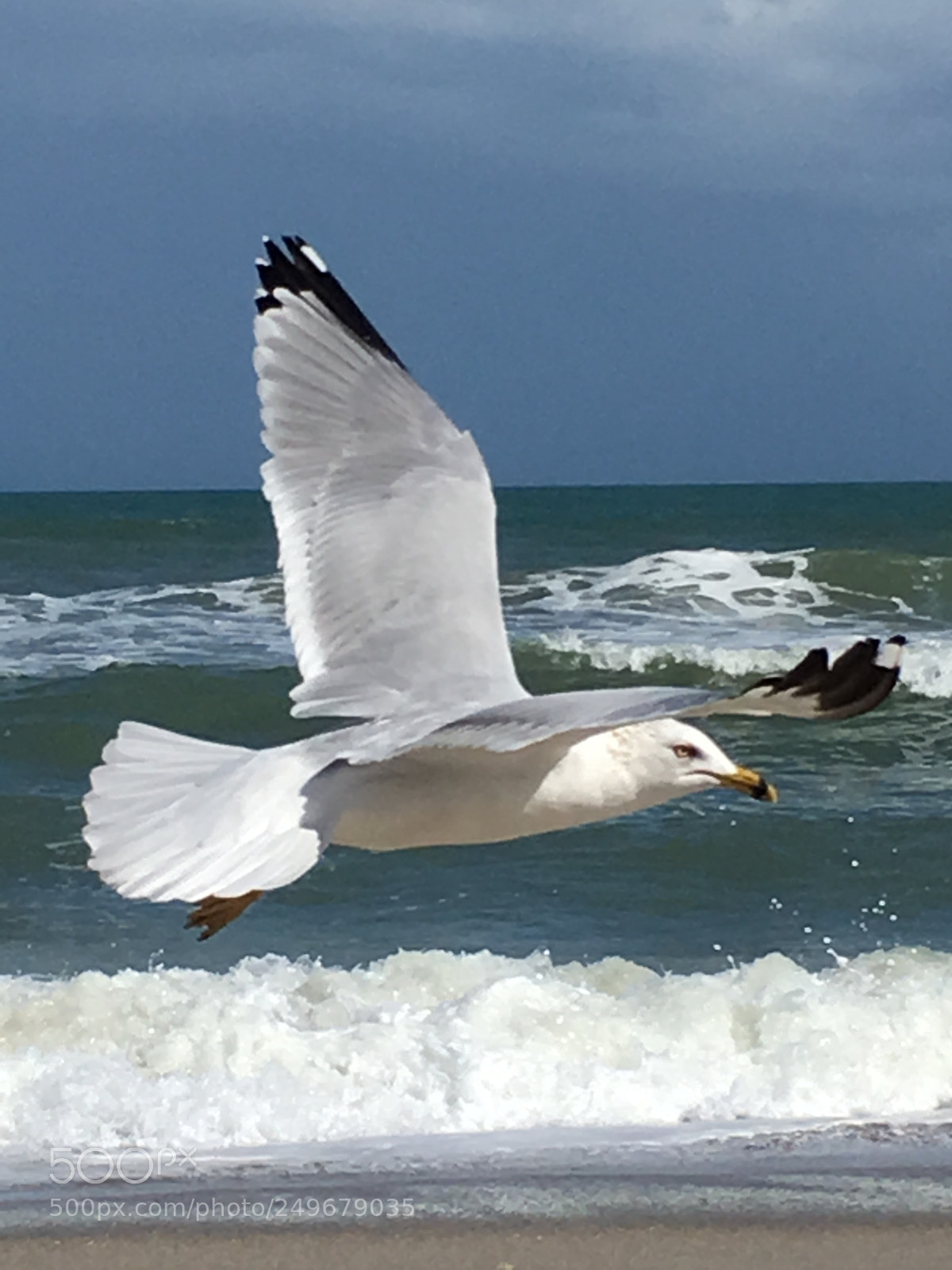 Apple iPhone 6s Plus sample photo. Melbourne beach, florida photography
