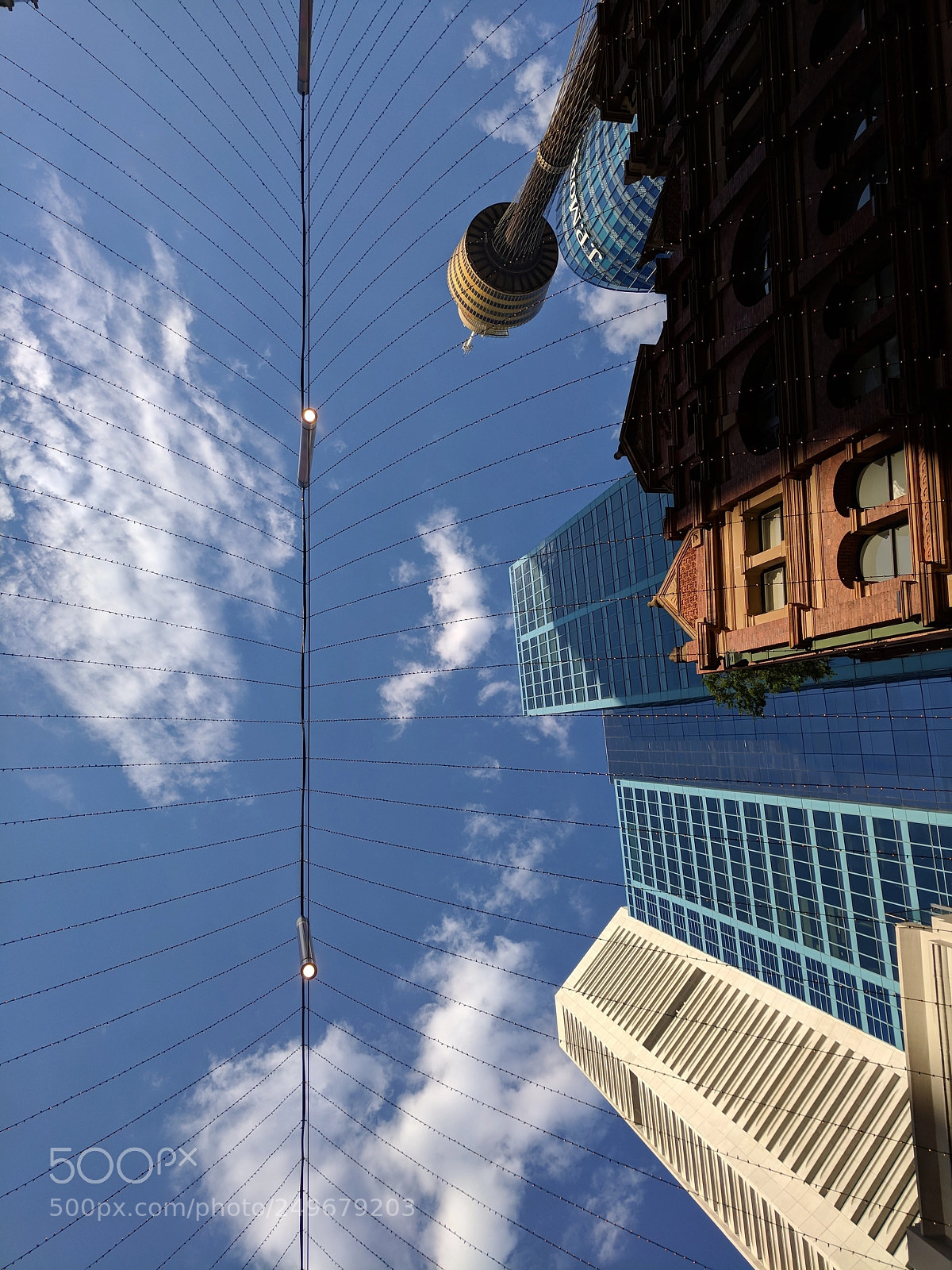 Google Pixel sample photo. Lookingup2 photography
