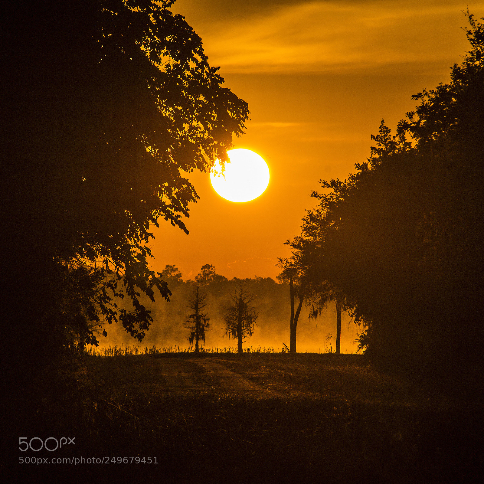 Nikon D3100 sample photo. Wetlands sunrise photography