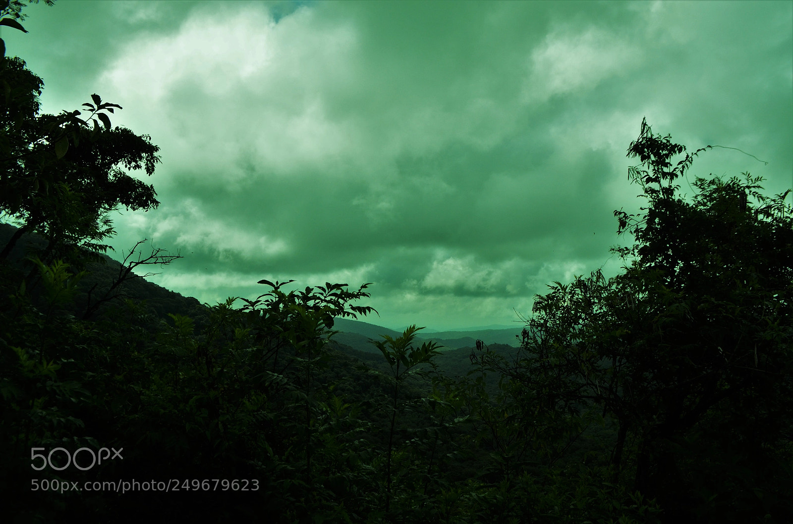 Nikon D5100 sample photo. Untitled photography