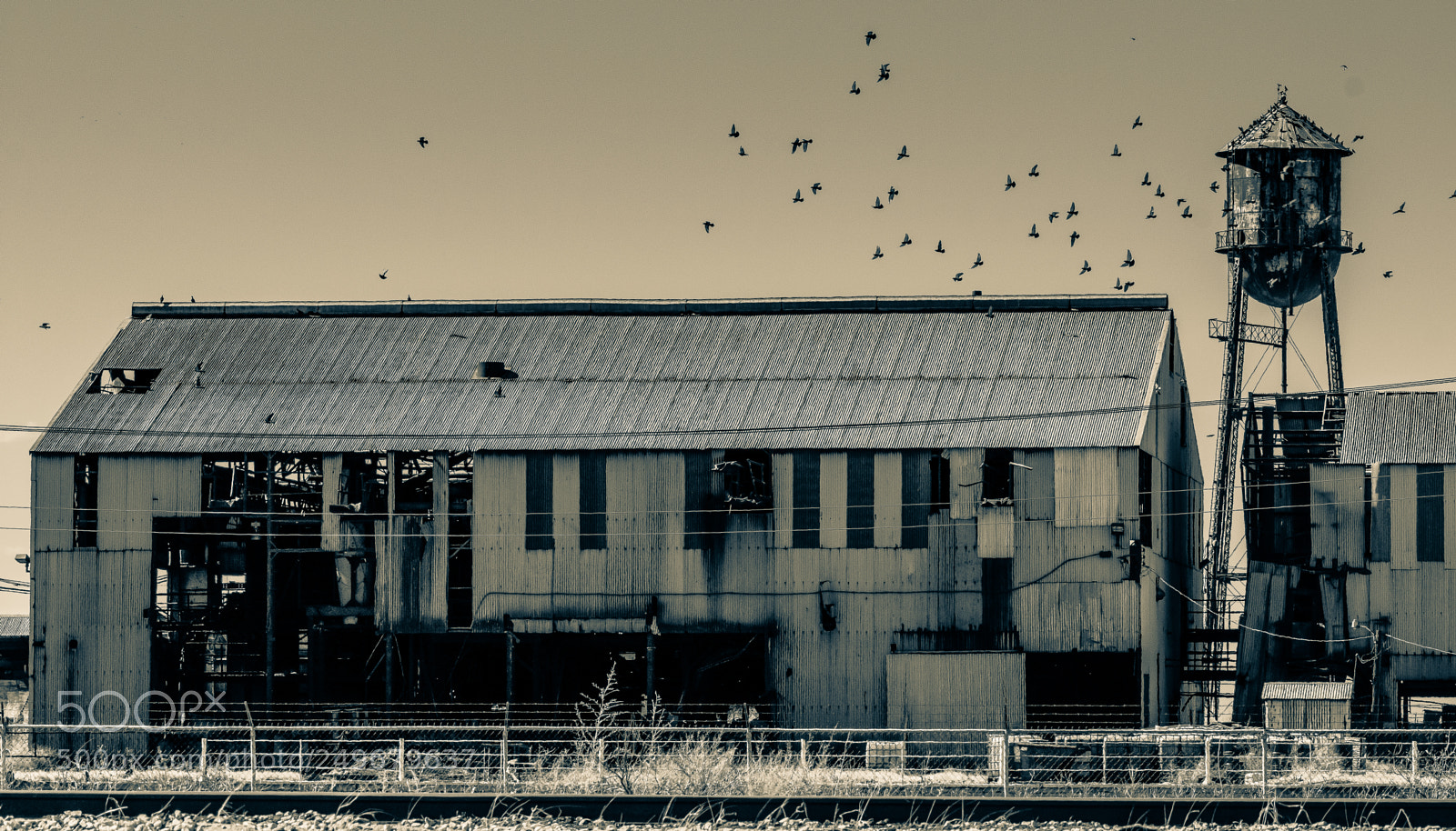 Nikon D3400 sample photo. Rundown cotton gin in photography