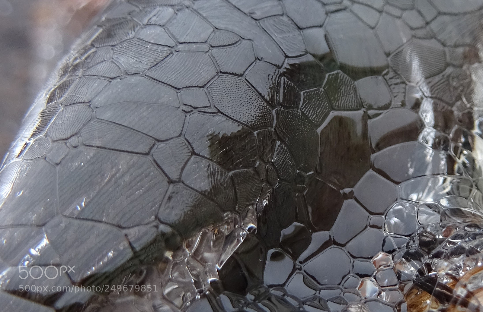Sony DSC-HX60V sample photo. Mosaic iced chicken feathers photography