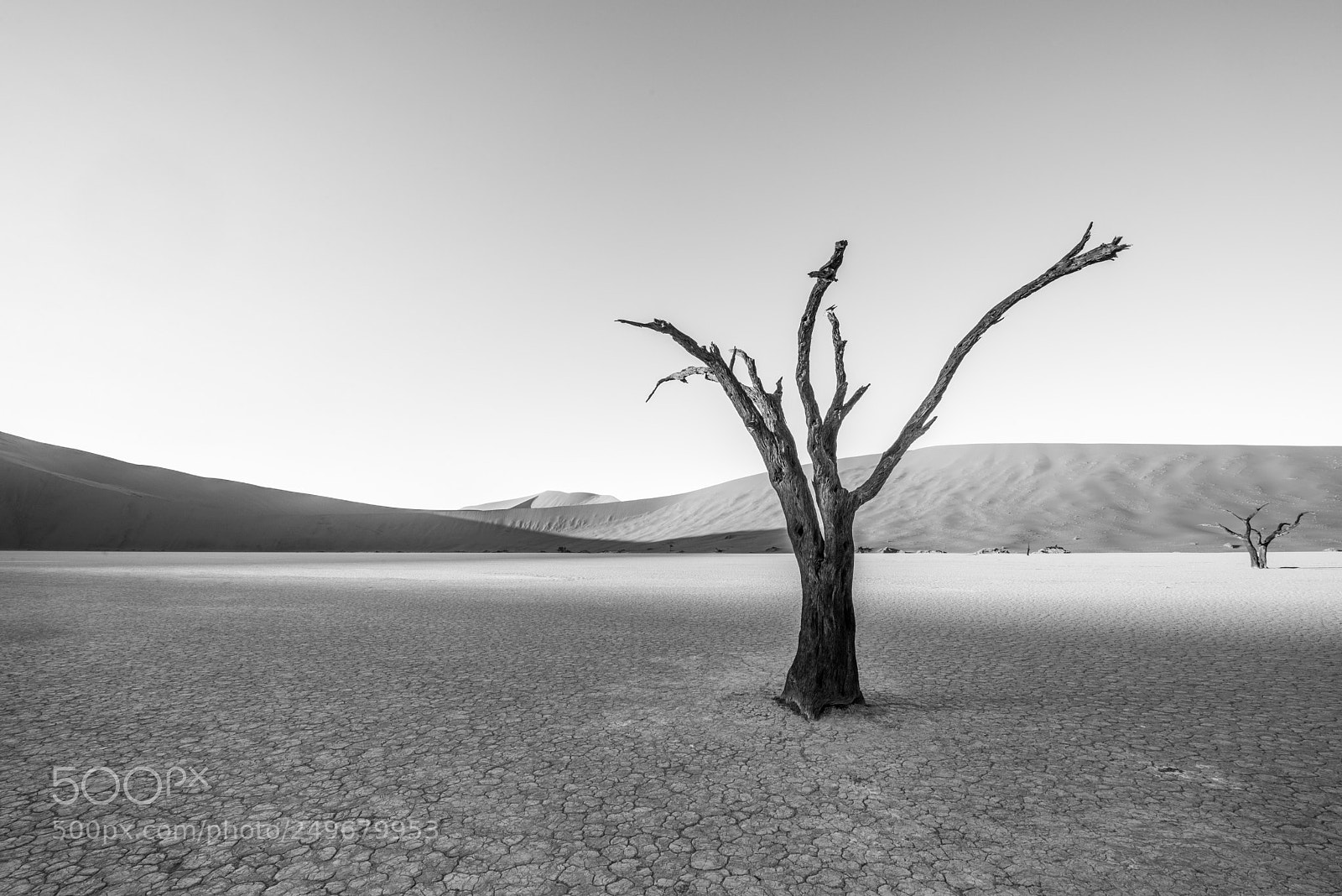 Nikon D600 sample photo. Deadvlei photography