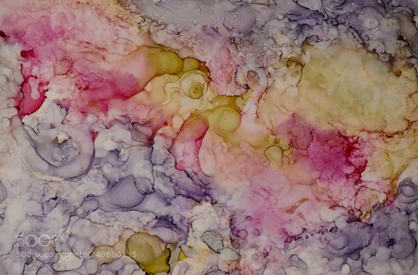 Olympus OM-D E-M1 sample photo. Alcohol ink and a photography