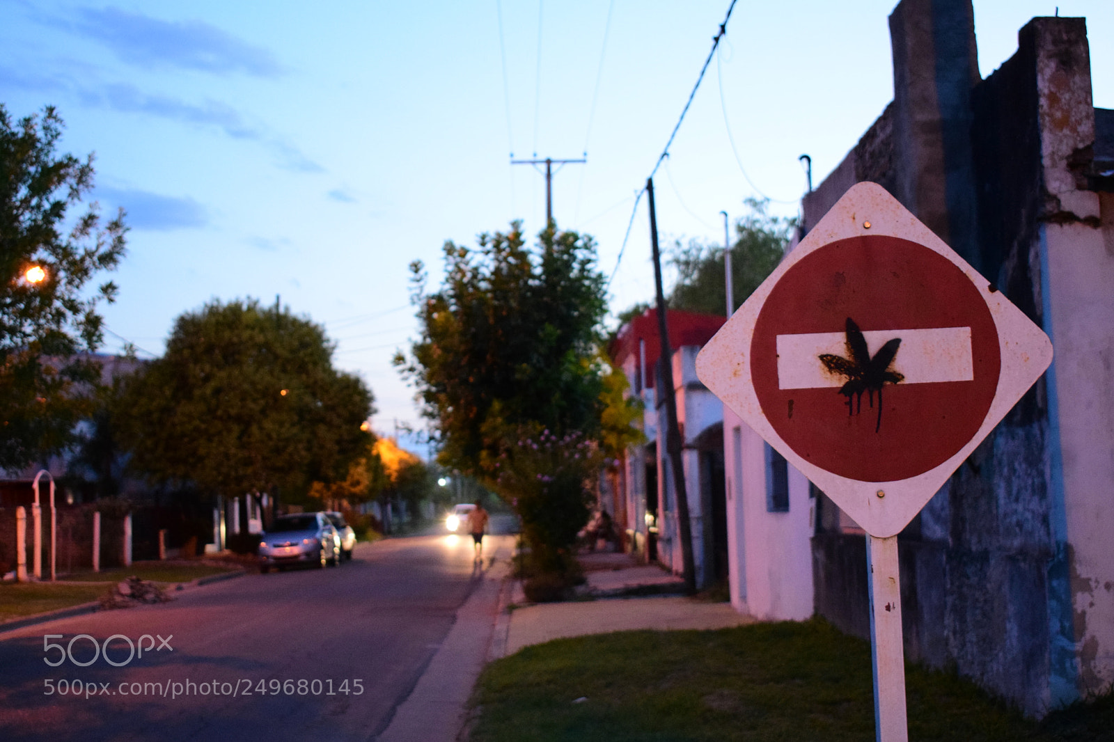 Nikon D5300 sample photo. Alert photography
